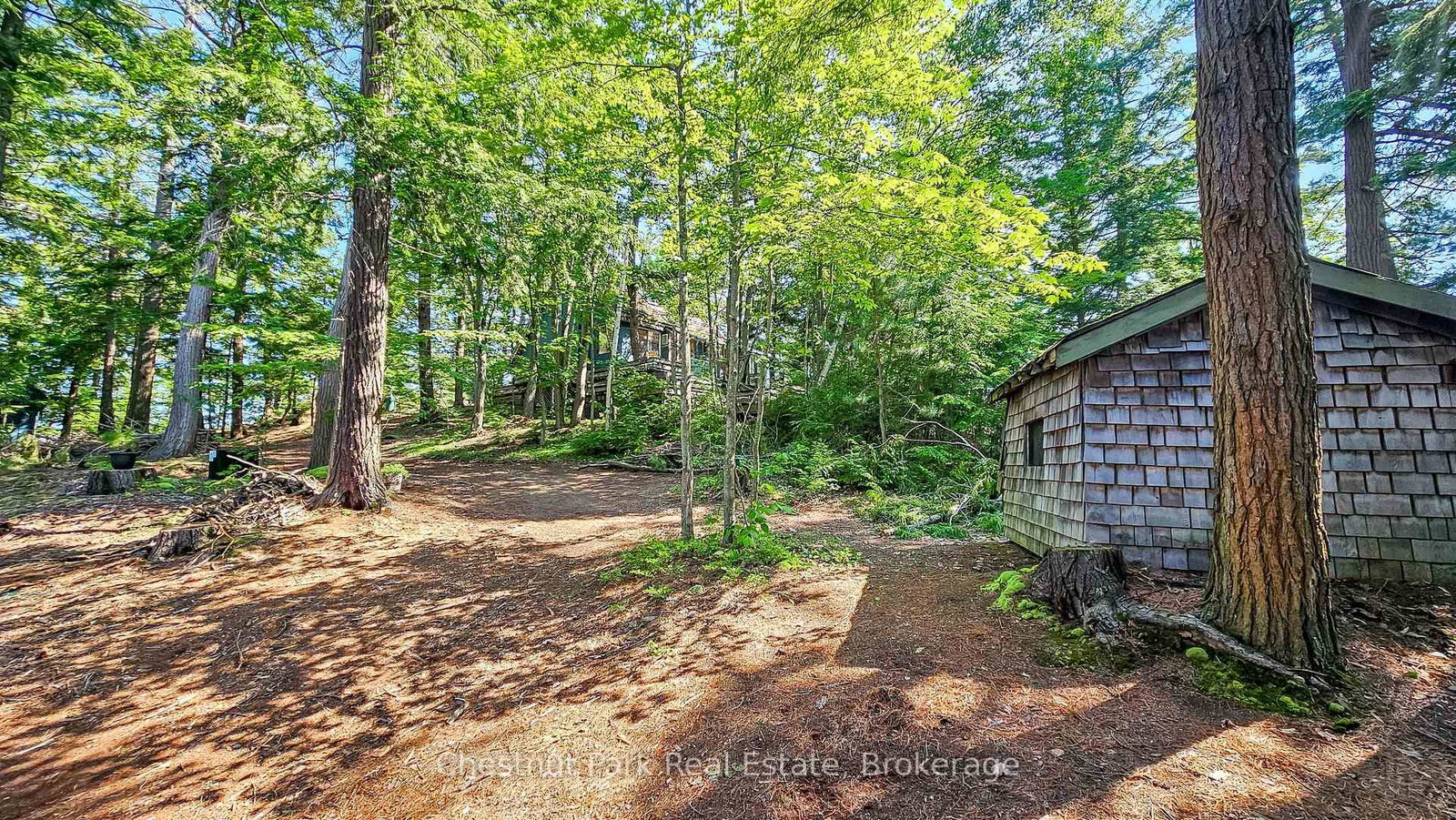 1 Merlin (Island M91) Island • Muskoka Lakes, ON photo 11