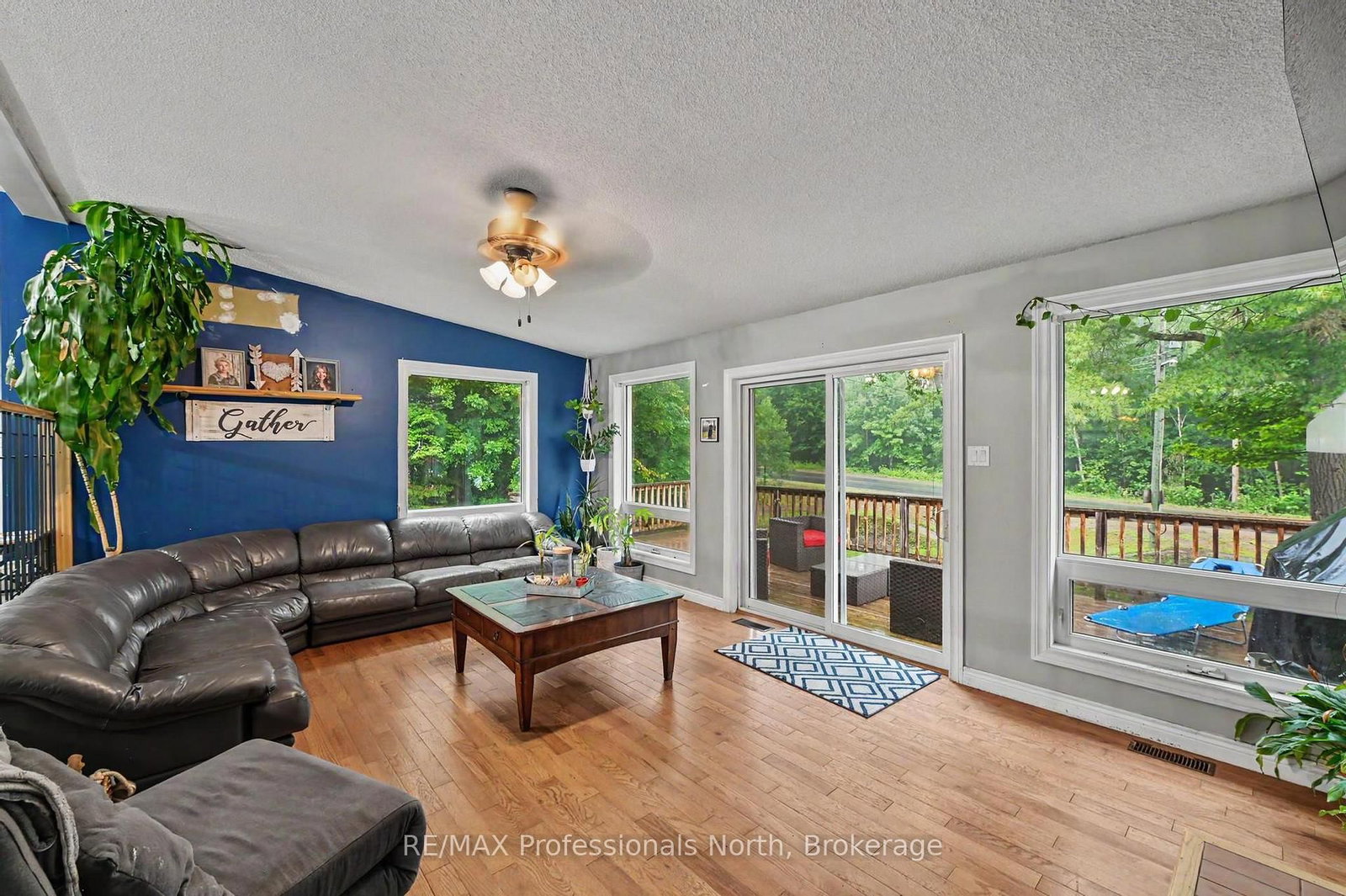 1116 Little Hawk Lake Road • Algonquin Highlands, ON photo 15