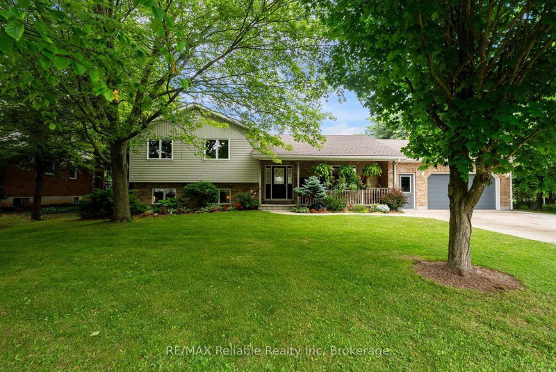 33768 Maple Court