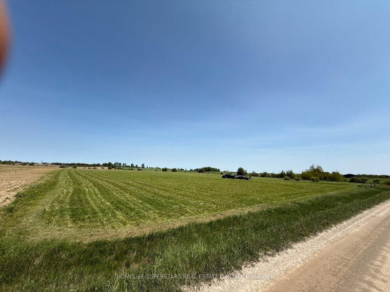 214131 10th Line, Amaranth