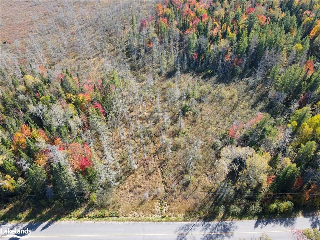 0 HWY 518 W • McMurrich/Monteith, ON photo 10