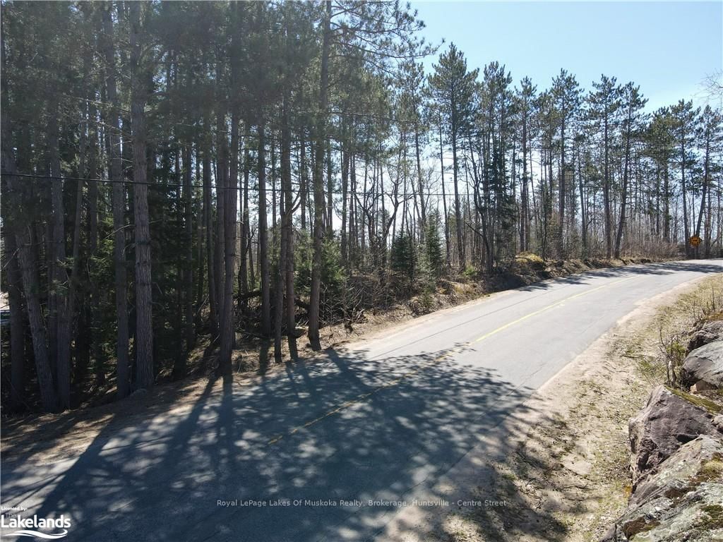 0 HWY 518 W • McMurrich/Monteith, ON photo 15