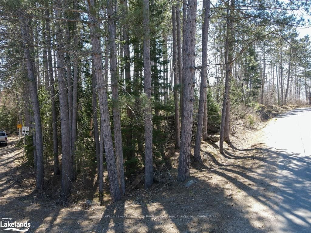 0 HWY 518 W • McMurrich/Monteith, ON photo 20