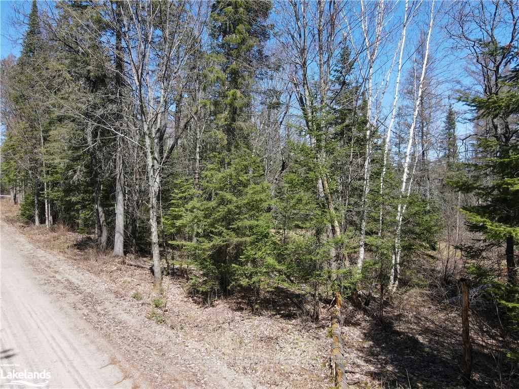 0 HWY 518 W • McMurrich/Monteith, ON photo 22