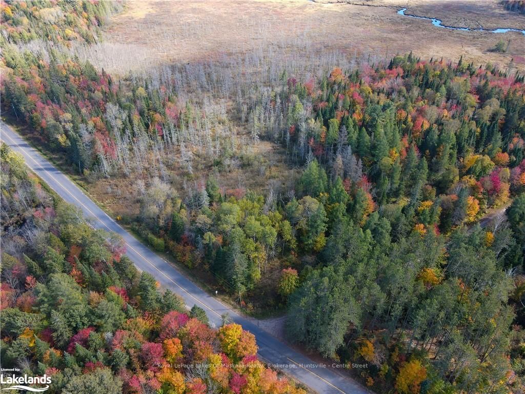 0 HWY 518 W • McMurrich/Monteith, ON photo 9