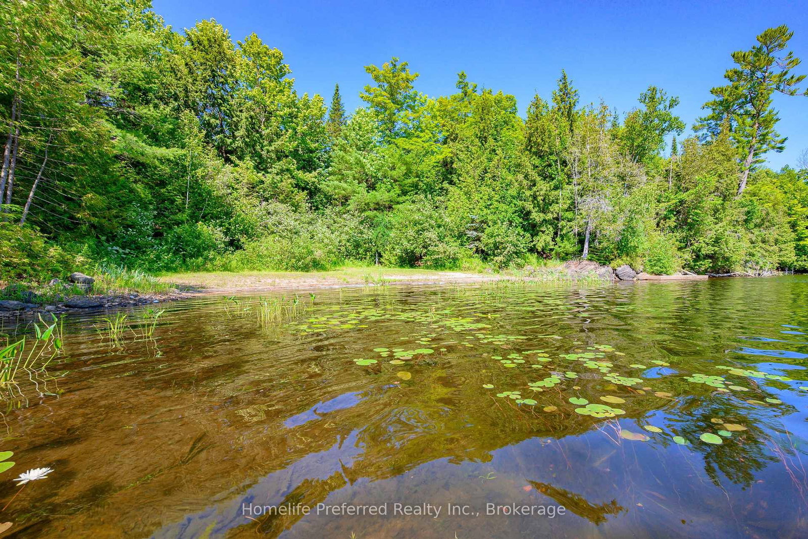 469 SKENE Road • Hastings, ON photo 41