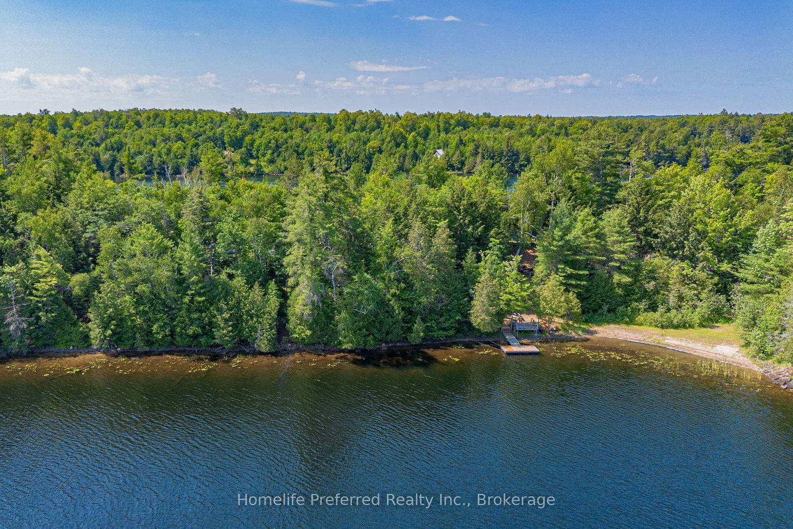 469 SKENE Road • Hastings, ON photo 45