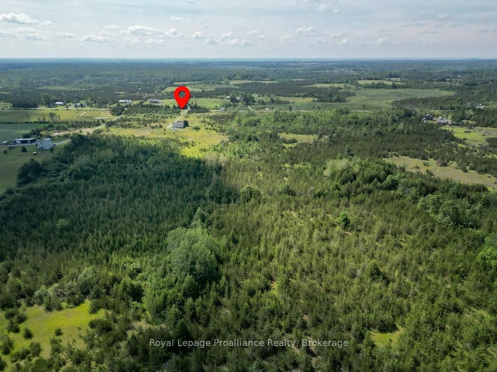 1075 Enright Road • Shannonville, ON photo 46