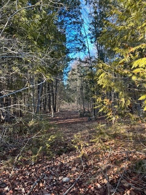 1075 Enright Road • Shannonville, ON photo 47