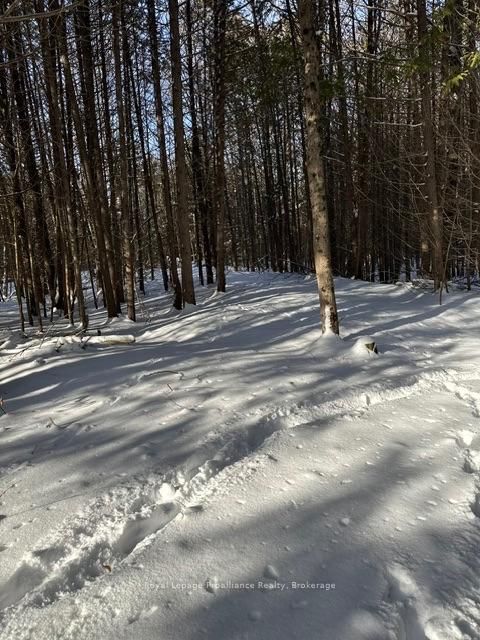 1075 Enright Road • Shannonville, ON photo 49