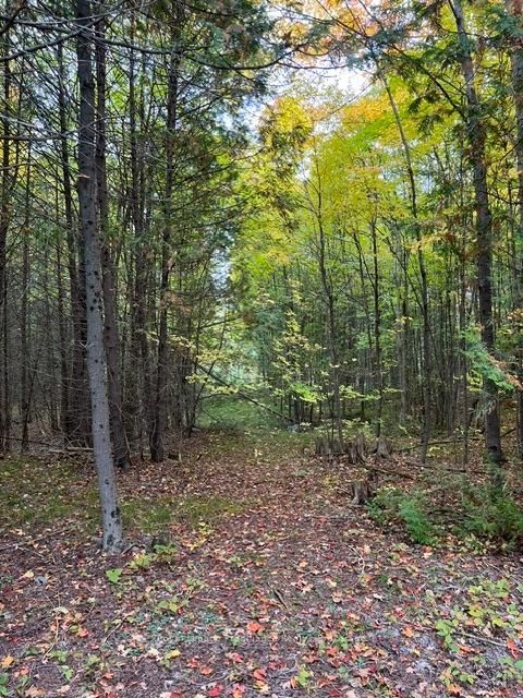 1075 Enright Road • Shannonville, ON photo 50