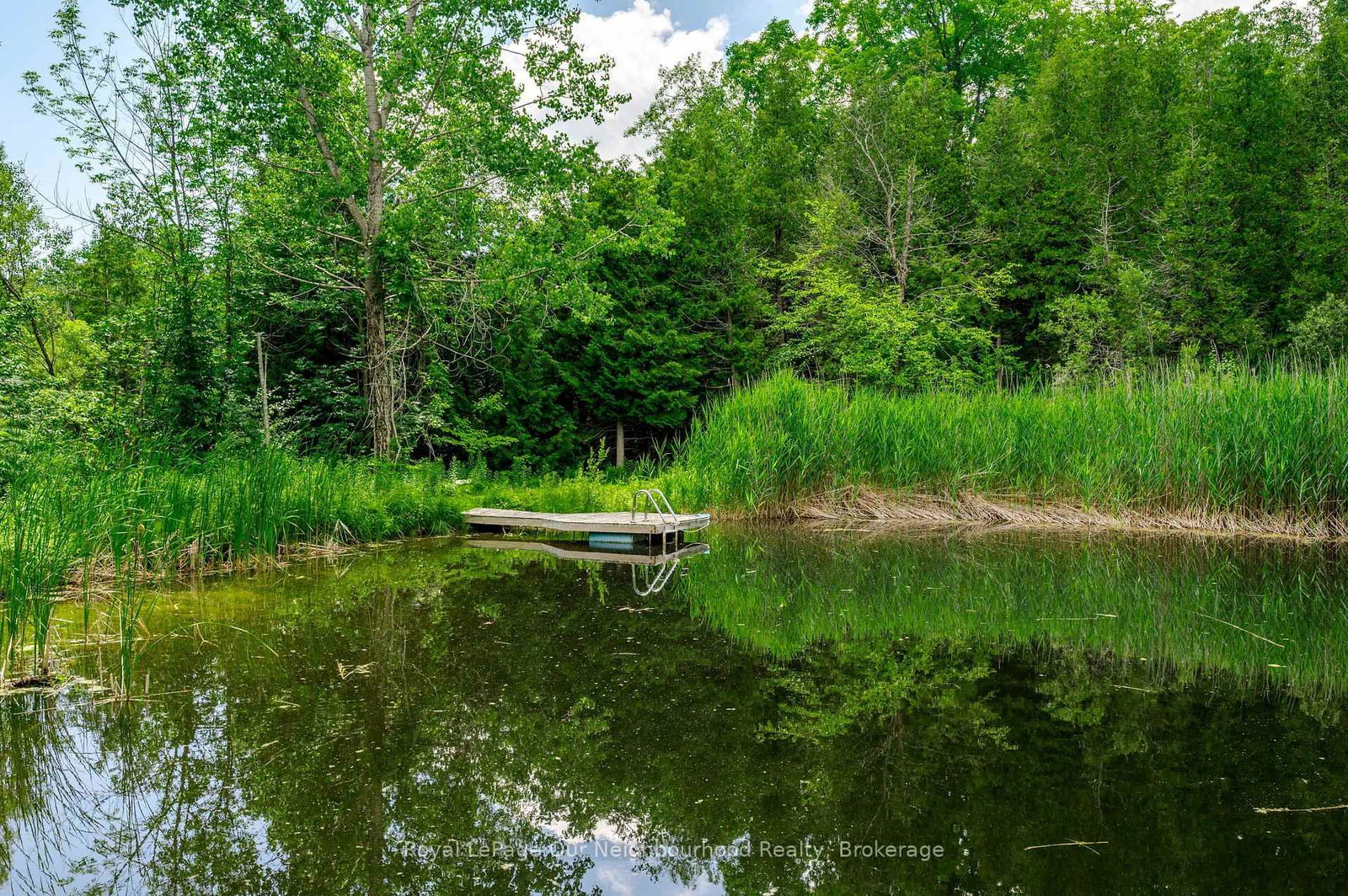154 Collin Road • Alnwick/Haldimand, ON photo 42
