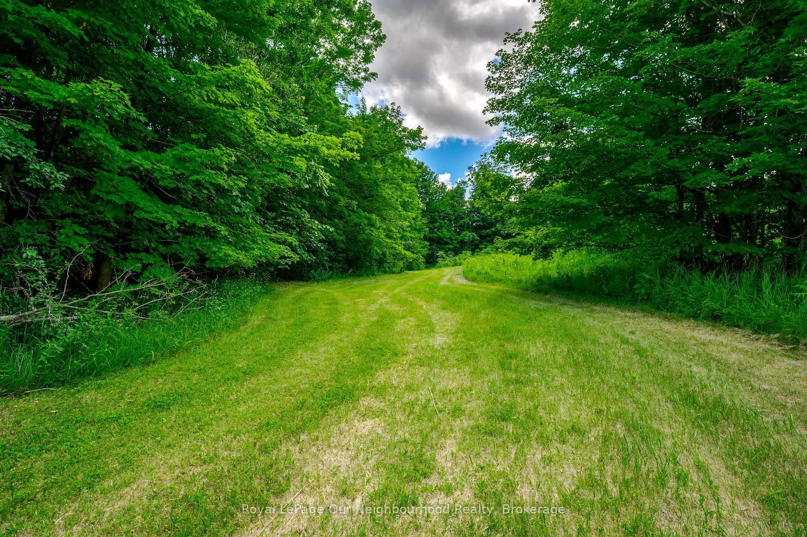 154 Collin Road • Alnwick/Haldimand, ON photo 48