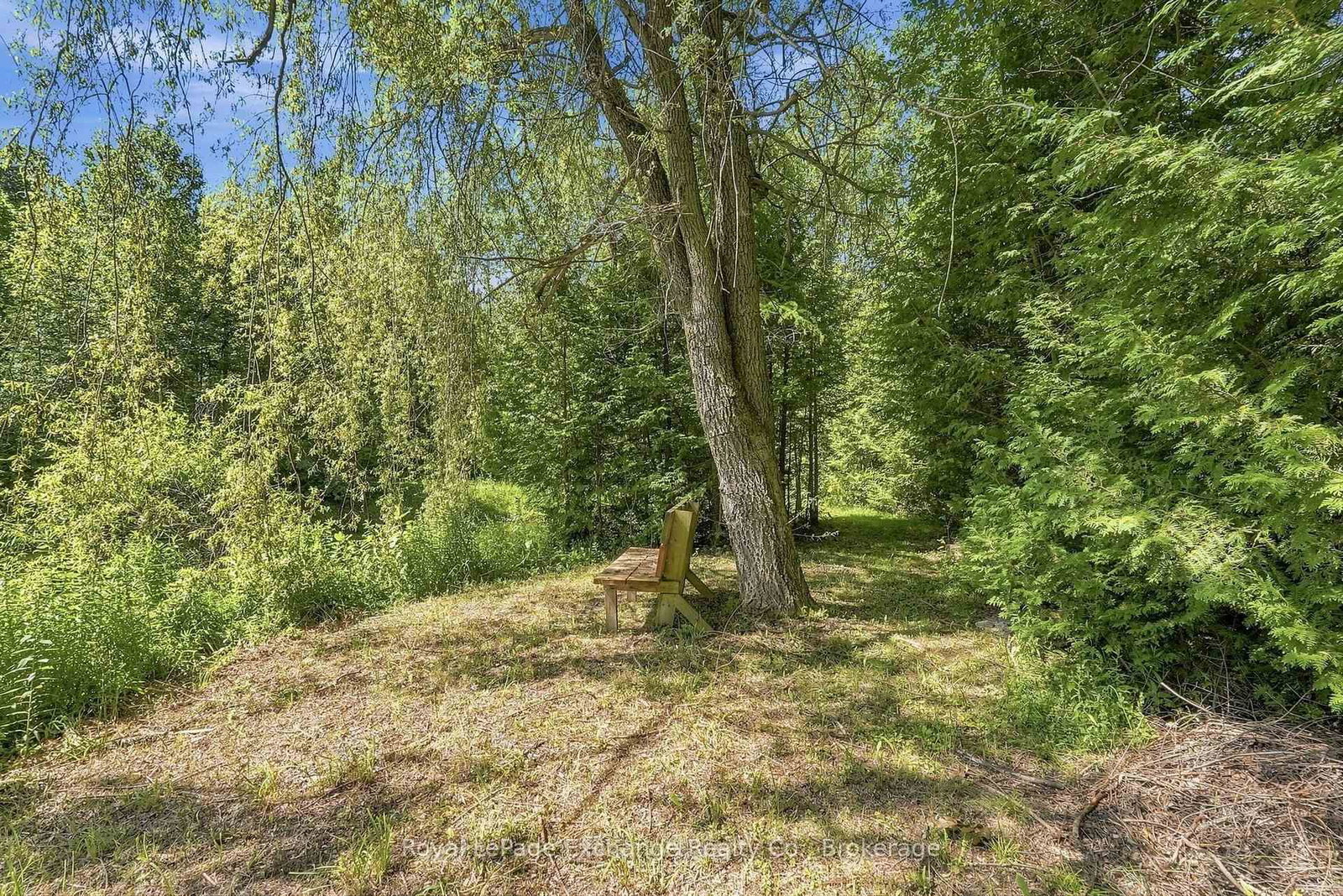 495144 Traverston Road • West Grey, ON photo 25