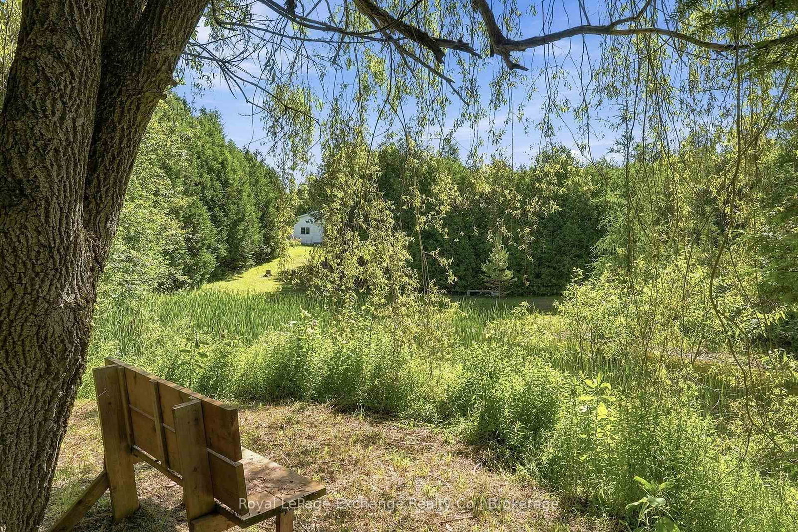 495144 Traverston Road • West Grey, ON photo 26