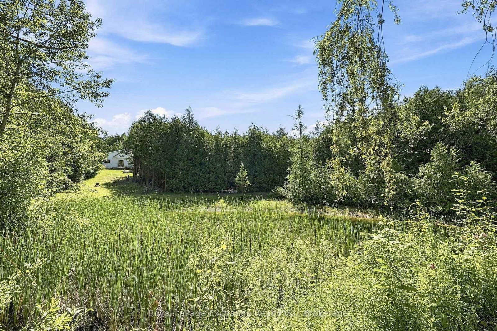 495144 Traverston Road • West Grey, ON photo 27