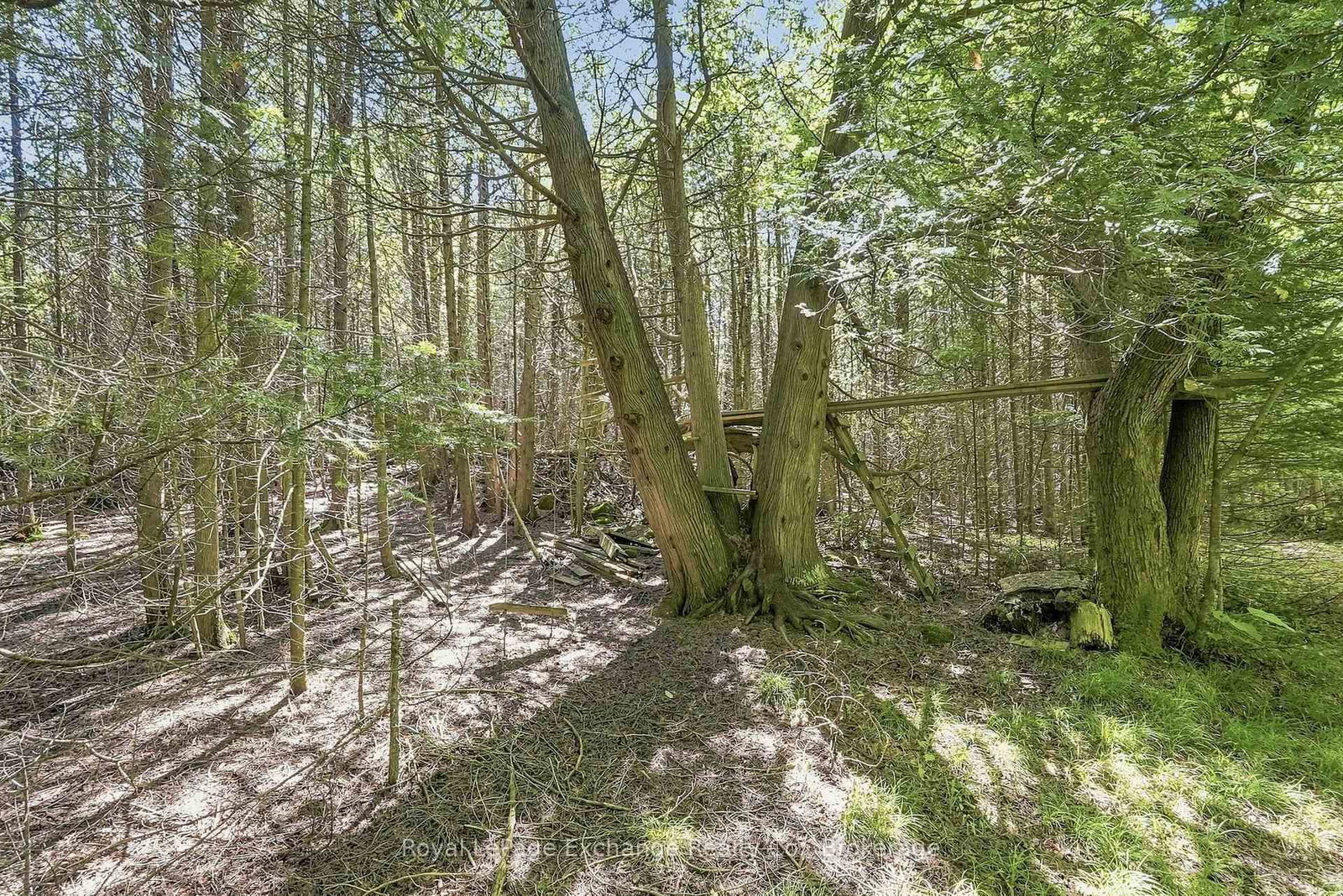 495144 Traverston Road • West Grey, ON photo 29
