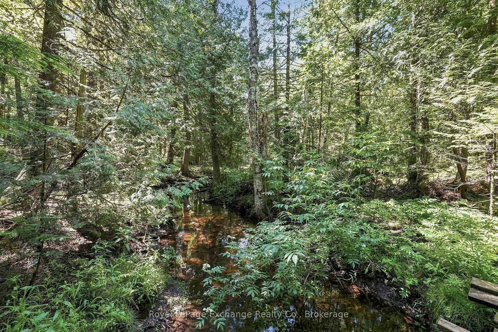 495144 Traverston Road • West Grey, ON photo 31