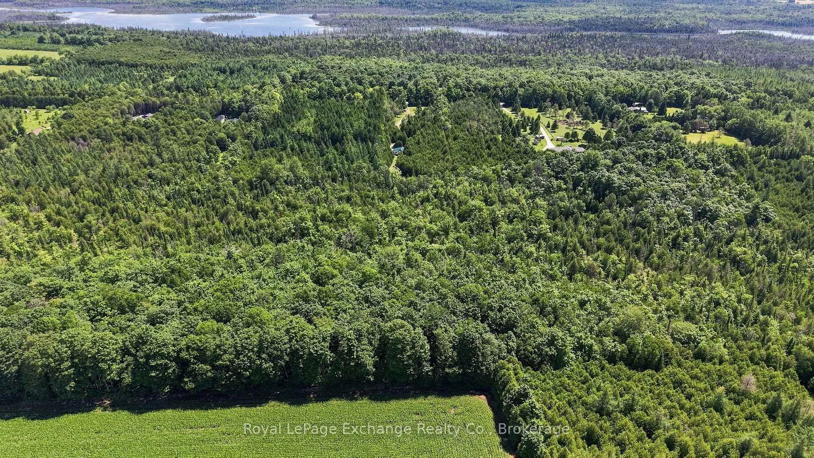 495144 Traverston Road • West Grey, ON photo 41