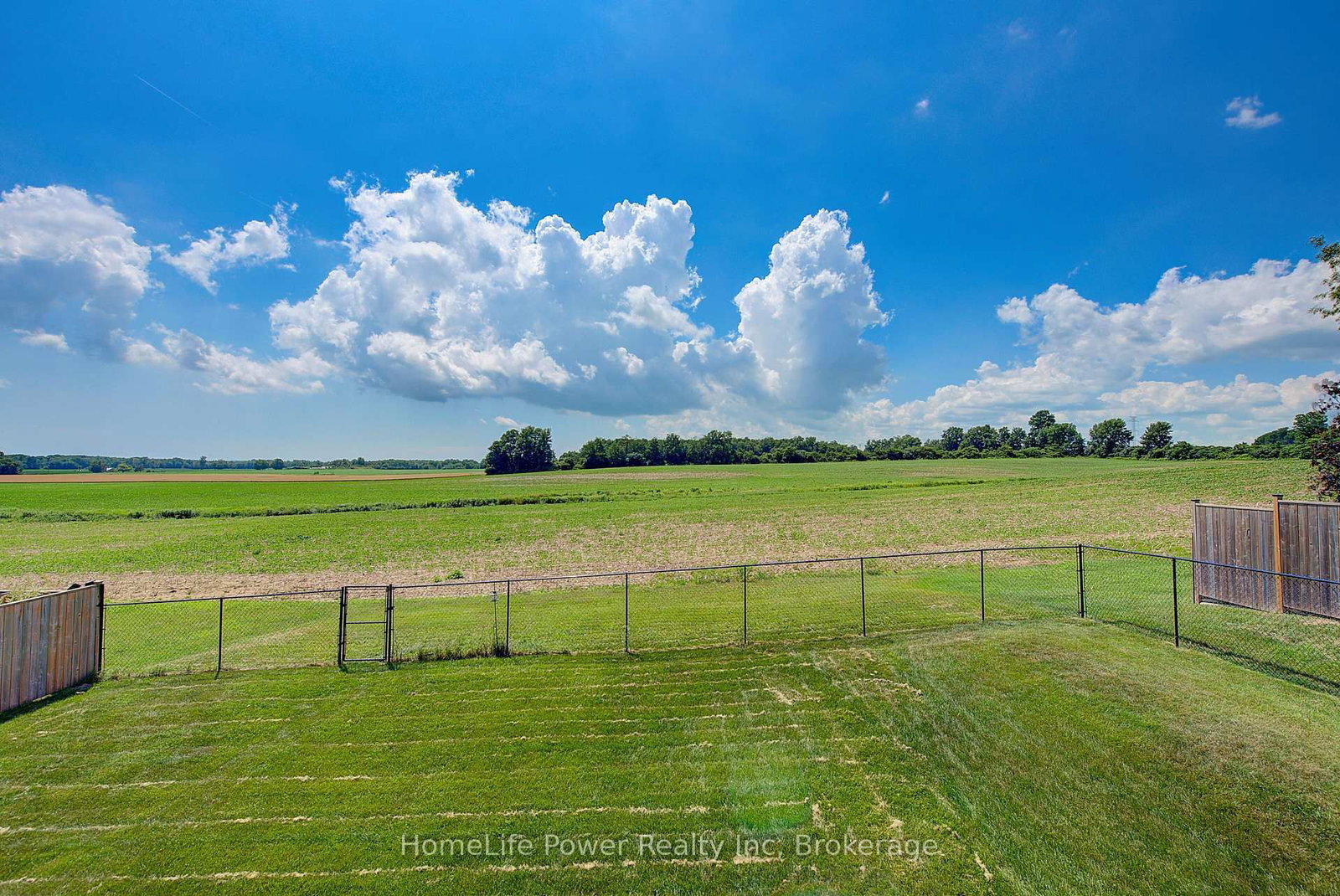21 Morning Glory Drive • Tillsonburg, ON photo 39
