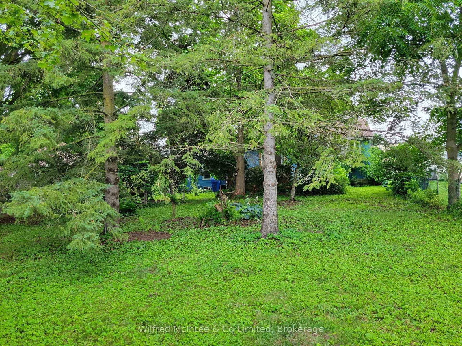 575 11th Street • Hanover, ON photo 4