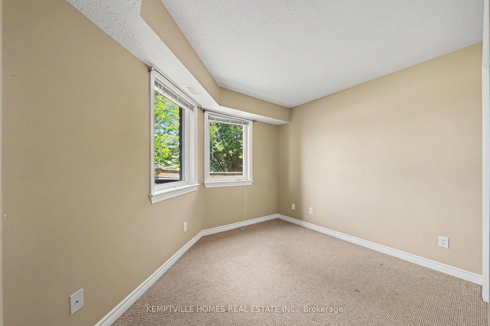 398 VAN BUREN Street • North Grenville, ON photo 21