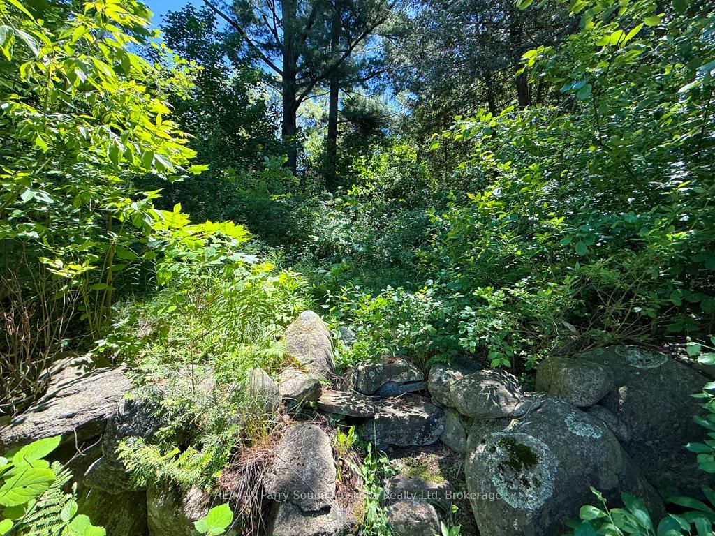 17 Wakefield Street • Parry Sound, ON photo 6