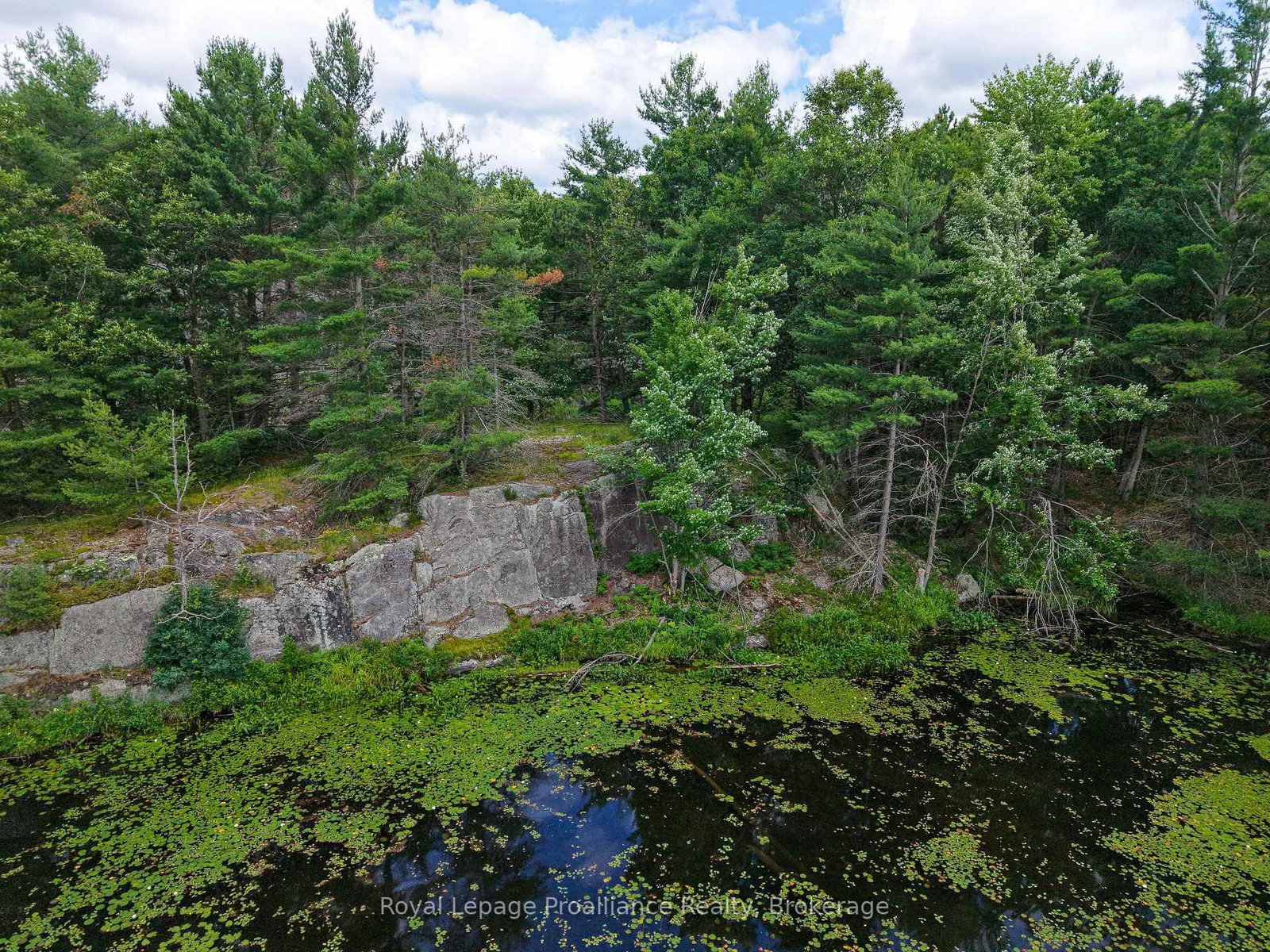1 WAO Kasshabog Lake • Havelock-Belmont-Methuen, ON photo 13