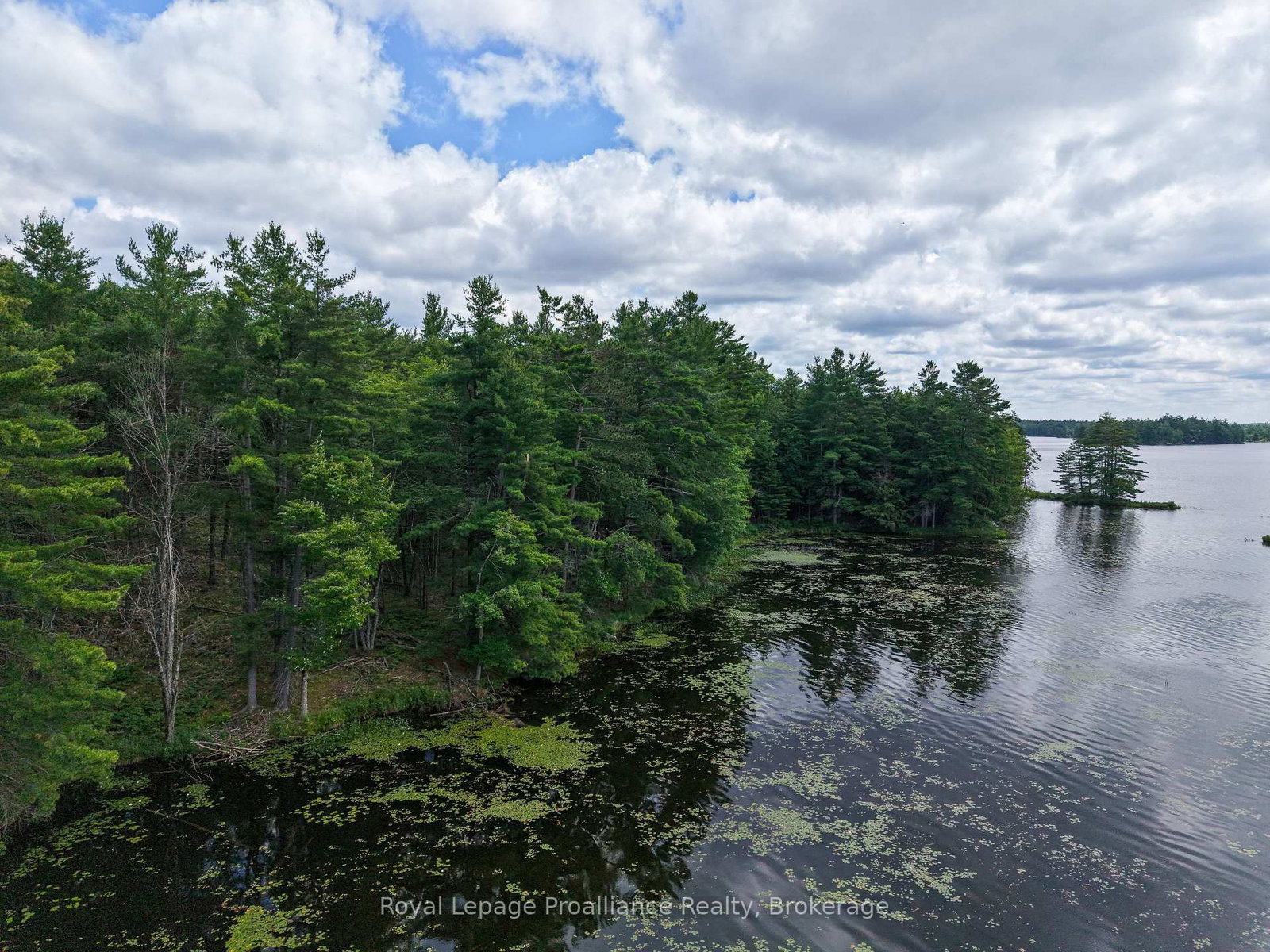 1 WAO Kasshabog Lake • Havelock-Belmont-Methuen, ON photo 14