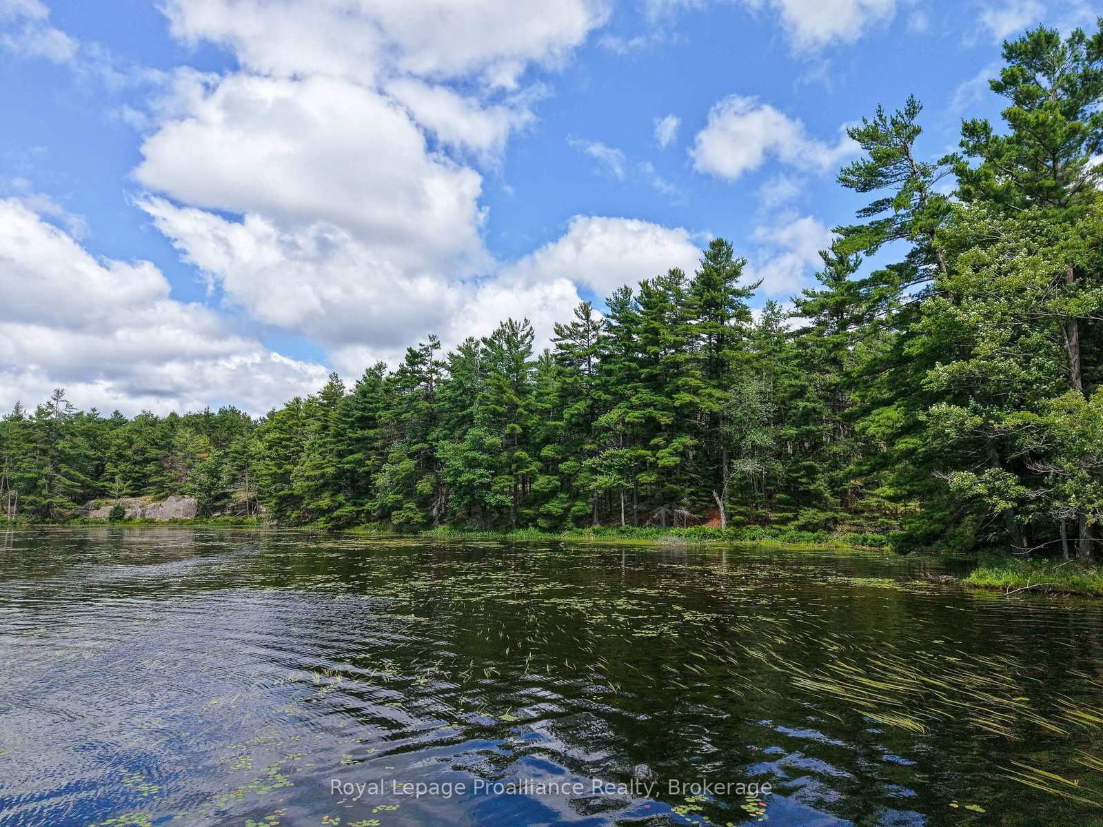 1 WAO Kasshabog Lake • Havelock-Belmont-Methuen, ON photo 17