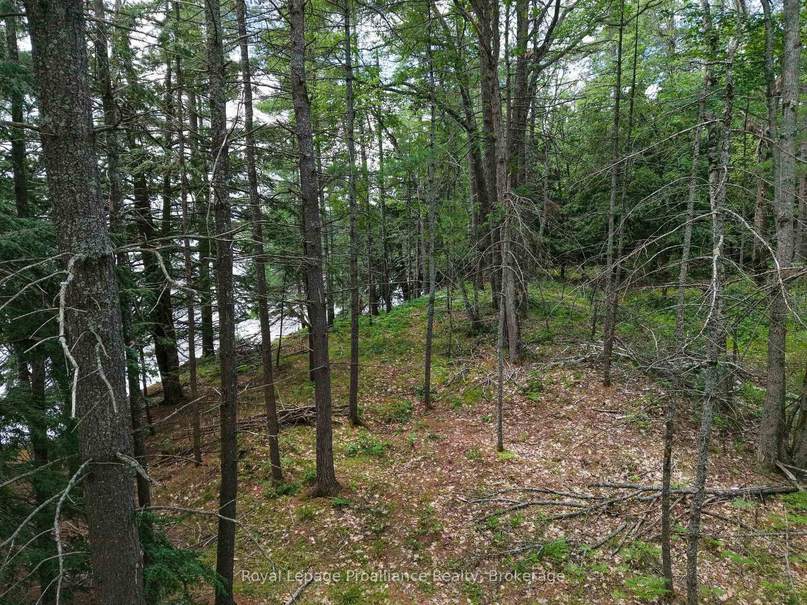 1 WAO Kasshabog Lake • Havelock-Belmont-Methuen, ON photo 27