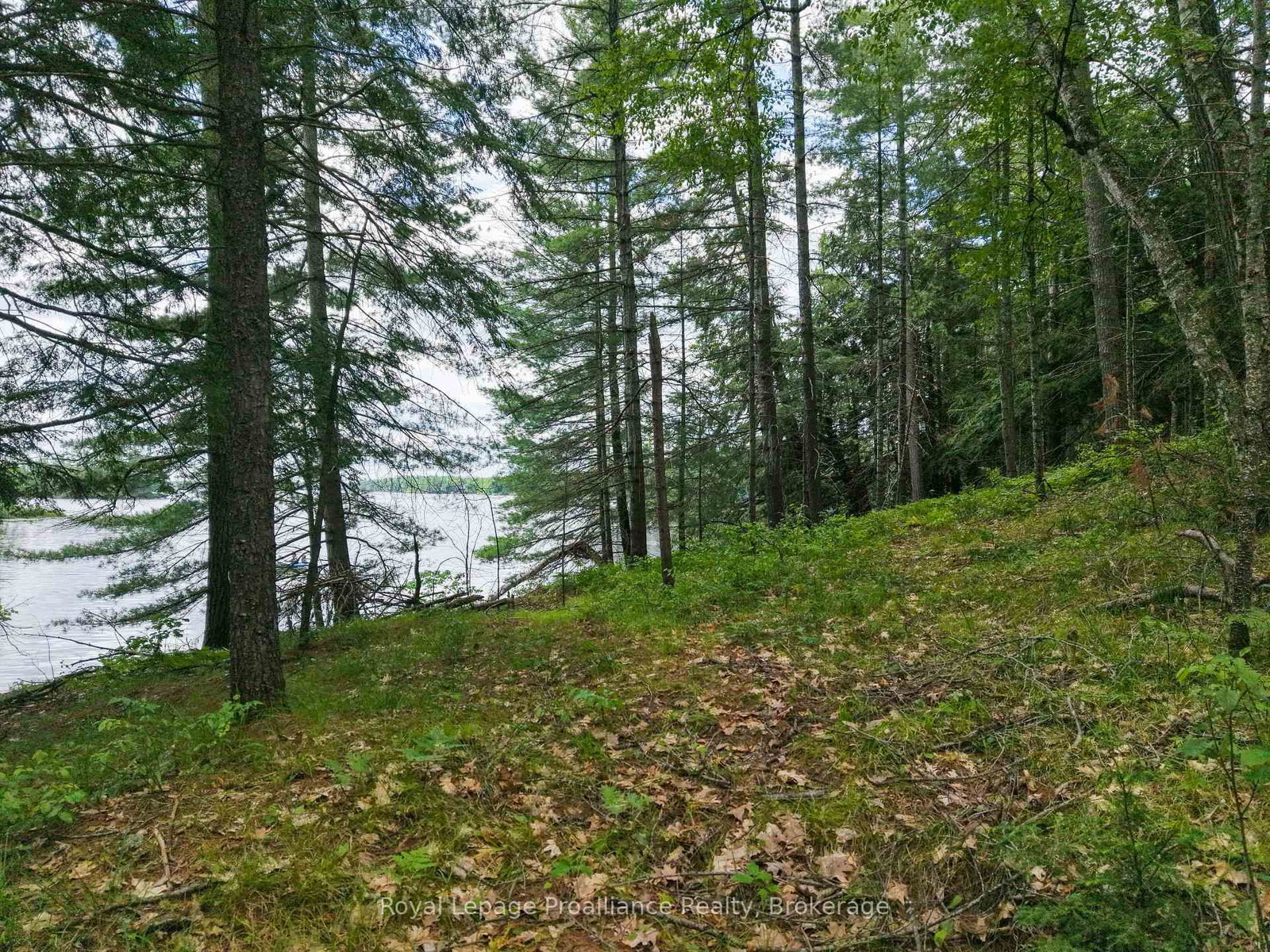 1 WAO Kasshabog Lake • Havelock-Belmont-Methuen, ON photo 30