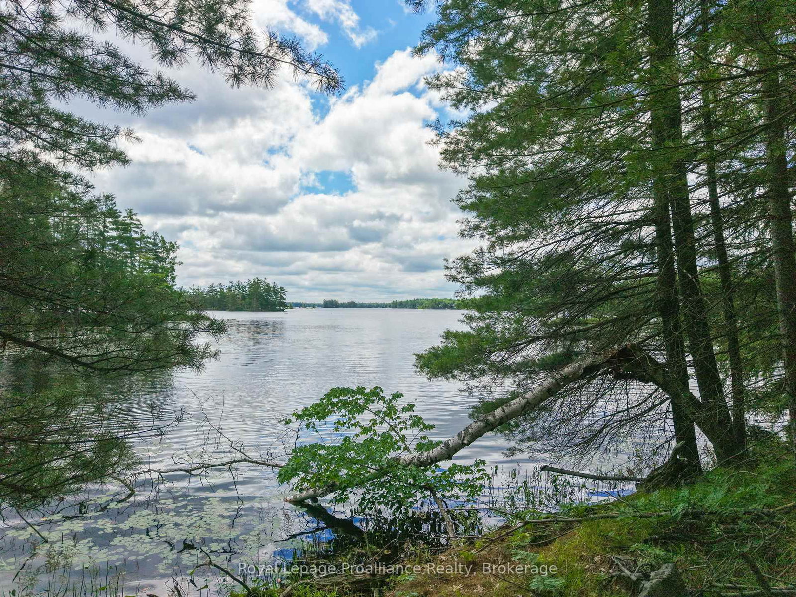 1 WAO Kasshabog Lake • Havelock-Belmont-Methuen, ON photo 31