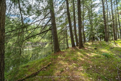 1 WAO Kasshabog Lake • Havelock-Belmont-Methuen, ON photo 4