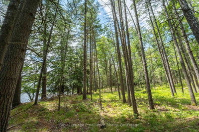 1 WAO Kasshabog Lake • Havelock-Belmont-Methuen, ON photo 5