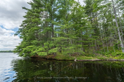 3 WAO Kasshabog Lake • Havelock-Belmont-Methuen, ON photo 8