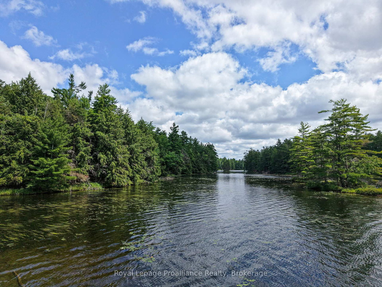 2 WAO Kasshabog Lake • Havelock-Belmont-Methuen, ON photo 16