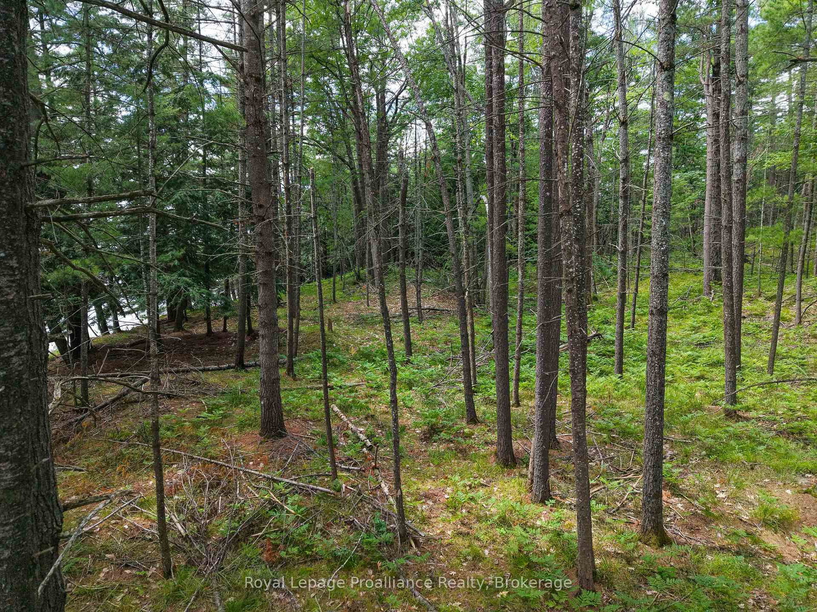 2 WAO Kasshabog Lake • Havelock-Belmont-Methuen, ON photo 26