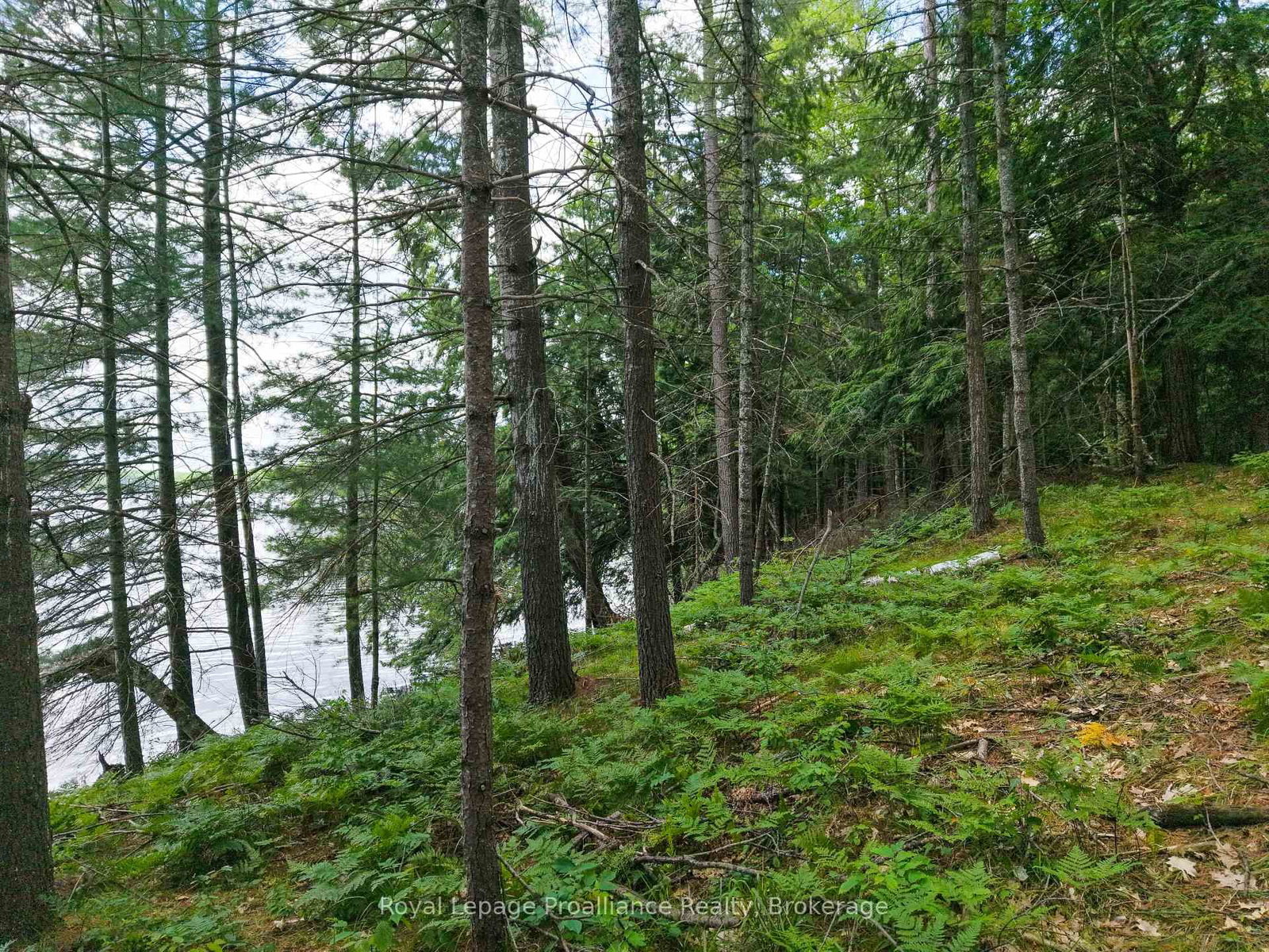 2 WAO Kasshabog Lake • Havelock-Belmont-Methuen, ON photo 32