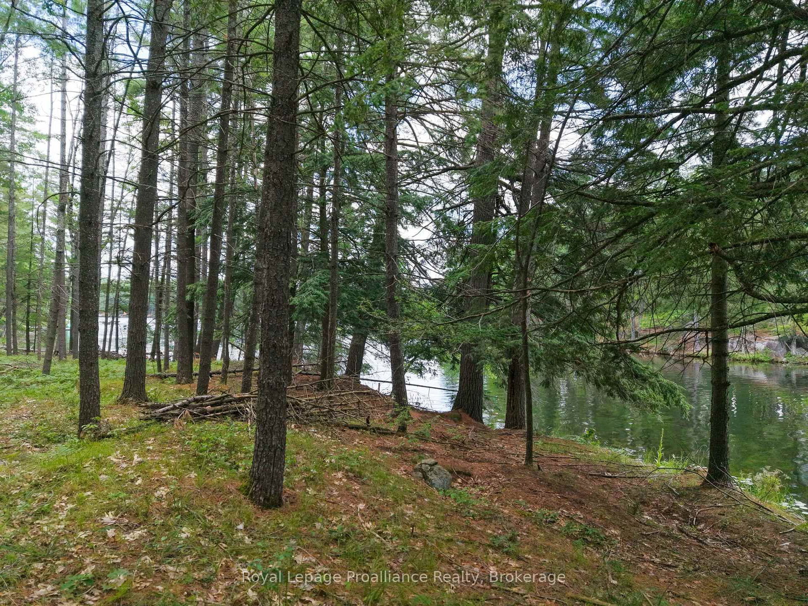 2 WAO Kasshabog Lake • Havelock-Belmont-Methuen, ON photo 33