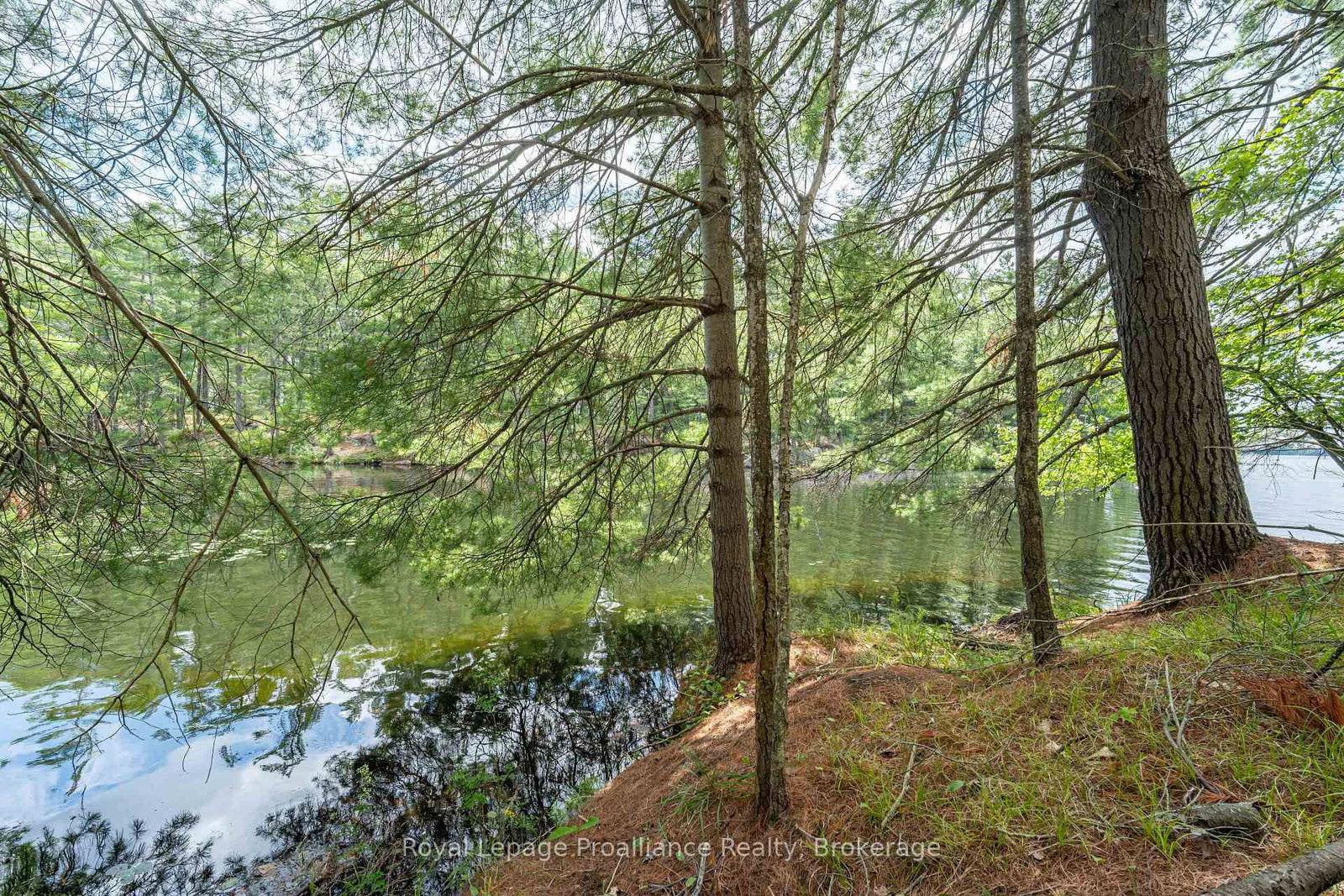 2 WAO Kasshabog Lake • Havelock-Belmont-Methuen, ON photo 6
