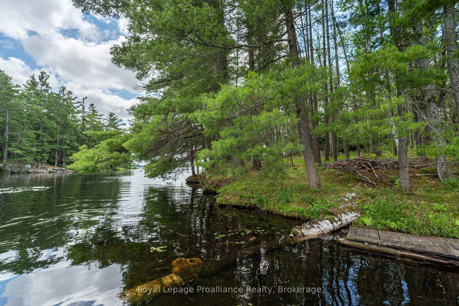 2 WAO Kasshabog Lake • Havelock-Belmont-Methuen, ON photo 7