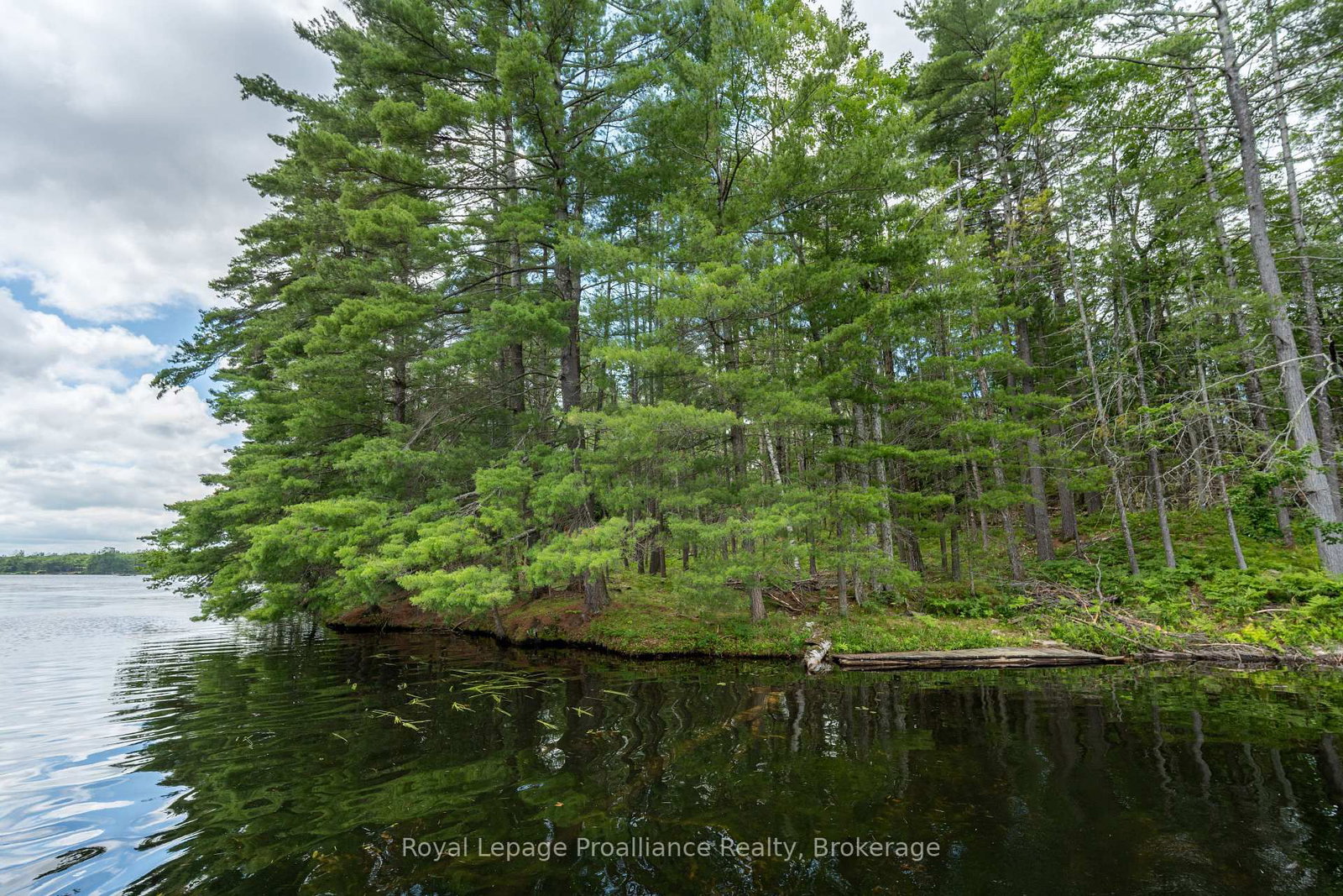 2 WAO Kasshabog Lake • Havelock-Belmont-Methuen, ON photo 8