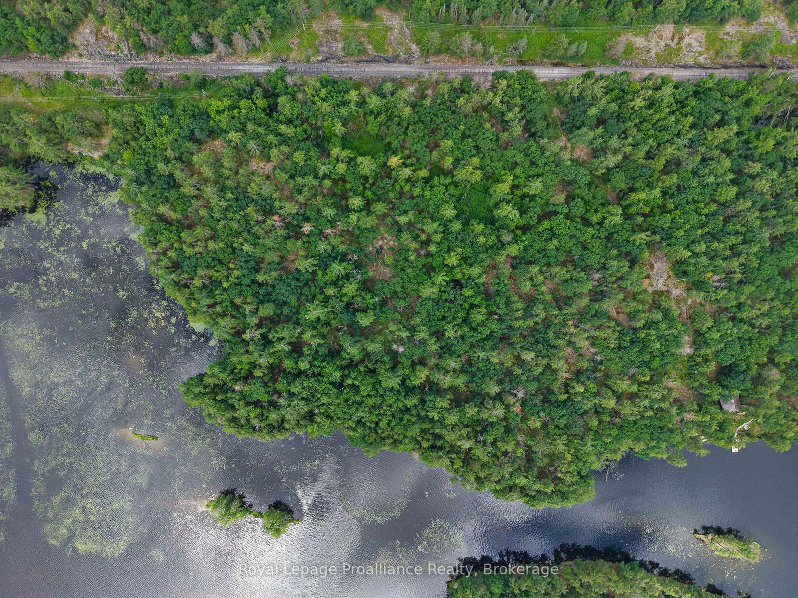 2 WAO Kasshabog Lake • Havelock-Belmont-Methuen, ON photo 9