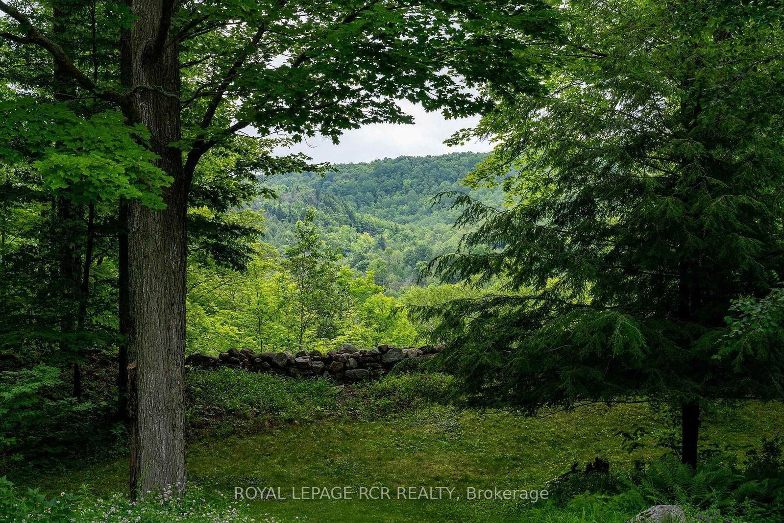 626280 15th Side Road • Mulmur, ON photo 35