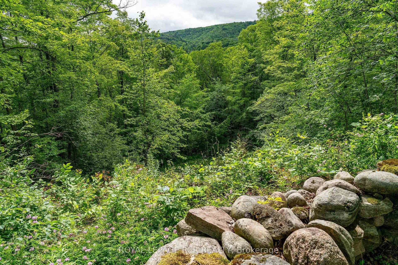 626280 15th Side Road • Mulmur, ON photo 36
