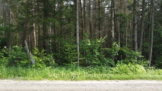 1A   PT LT 12 C Boundary Road • Parry Sound Remote Area, ON photo 4