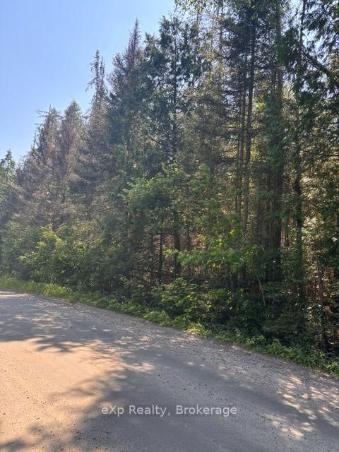 1A   PT LT 12 C Boundary Road • Parry Sound Remote Area, ON photo 5
