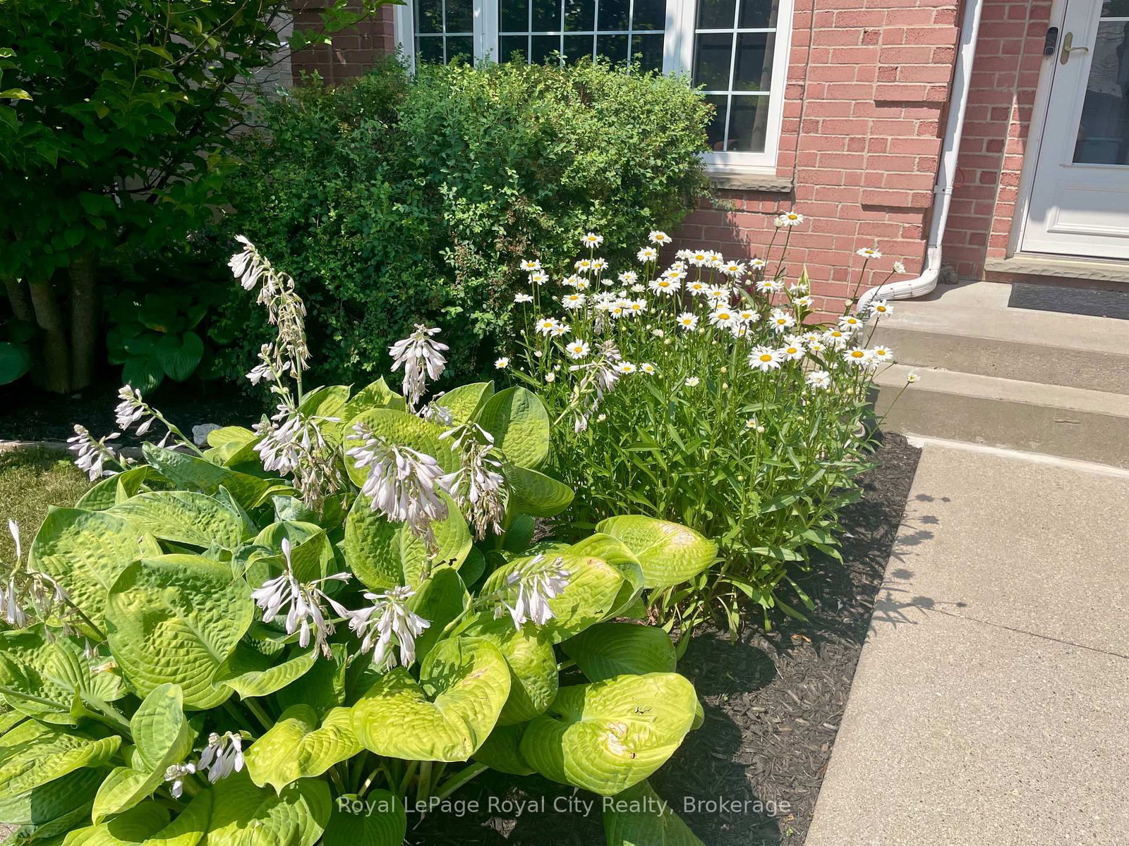 119 Meadowridge Drive • St. Marys, ON photo 34