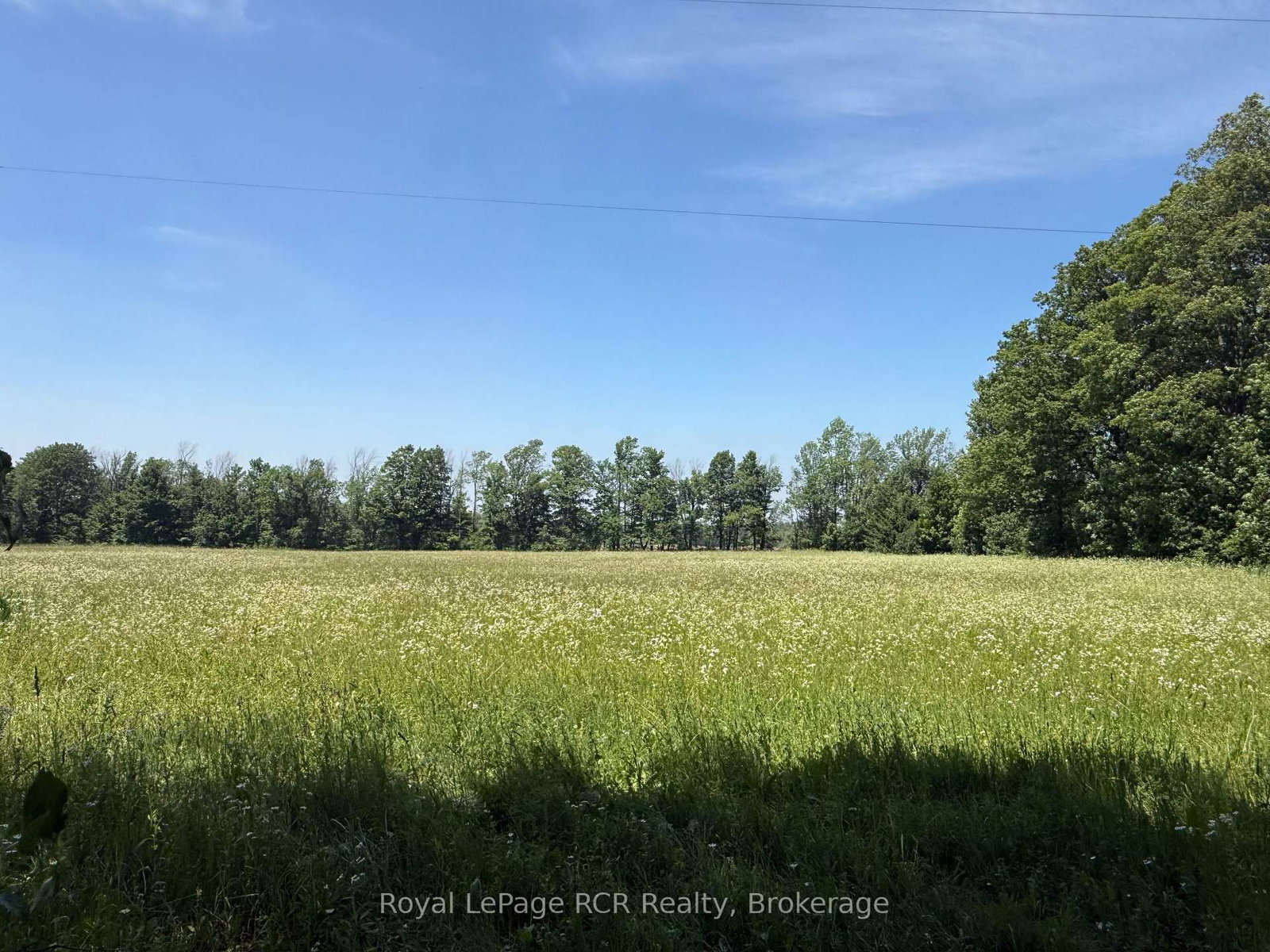 Lot 2 Part Lot 17 Bells Lake Road • West Grey, ON photo 8